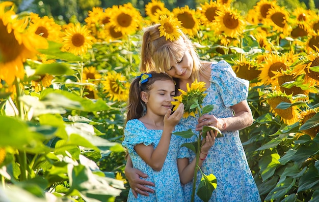 Foto familiar en un campo de girasoles Ucrania Enfoque selectivo