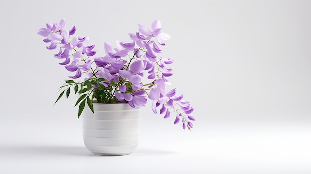 Foto de flor de glicina en maceta aislada sobre fondo blanco