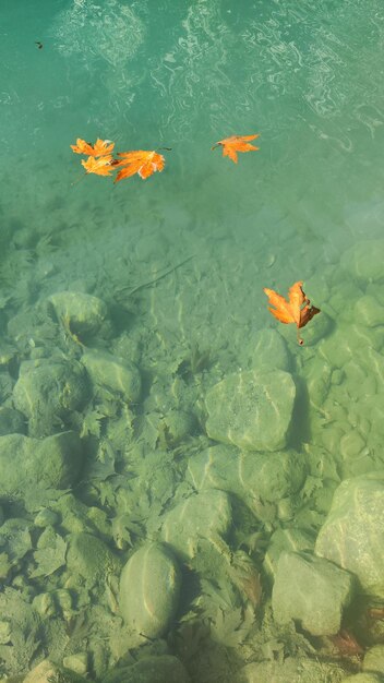 foto de fondo de agua turquesa en el río