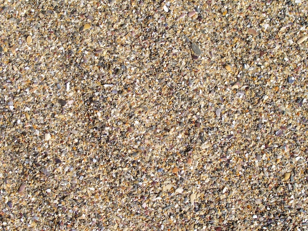 Foto de fondo de pantalla con rocas erosionadas de la playa