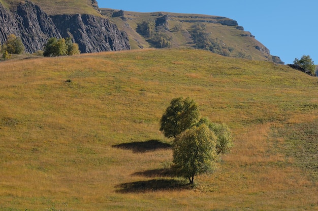 Esta foto fue tomada en el norte del cáucaso Rusia