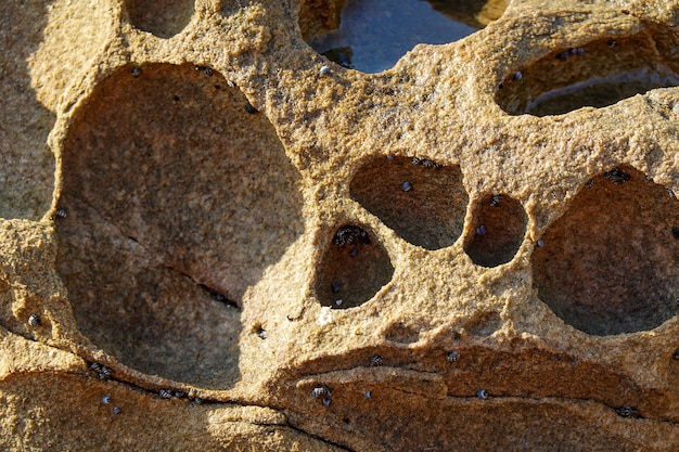 Foto foto de la geografía de la erosión en la naturaleza