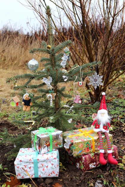 foto de un gnomo de juguete sentado en regalos cerca de un árbol de Navidad decorado en vivo al aire libre