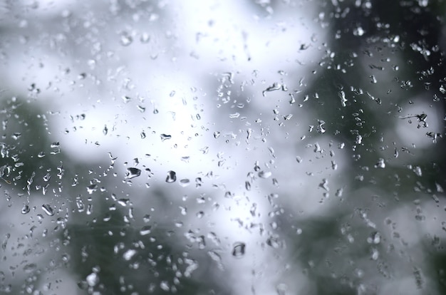 Una foto de las gotas de lluvia en el cristal de la ventana con una vista borrosa de los árboles verdes en flor