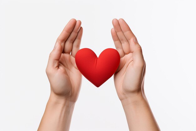 Foto gratis de vista frontal de manos mostrando el signo del corazón sobre fondo blanco liso