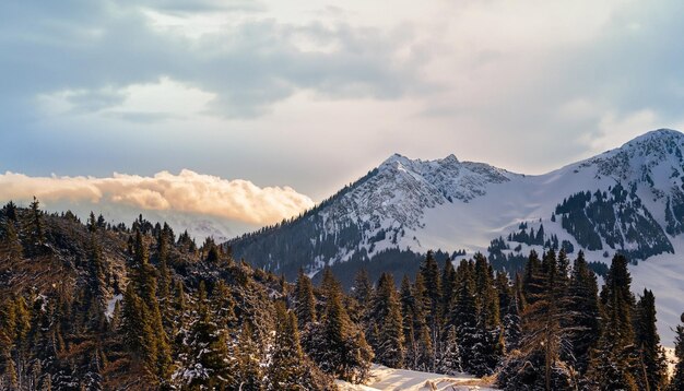 Foto gratuita de paisagem de inverno misteriosa montanhas majestosas no inverno Ai Gerado
