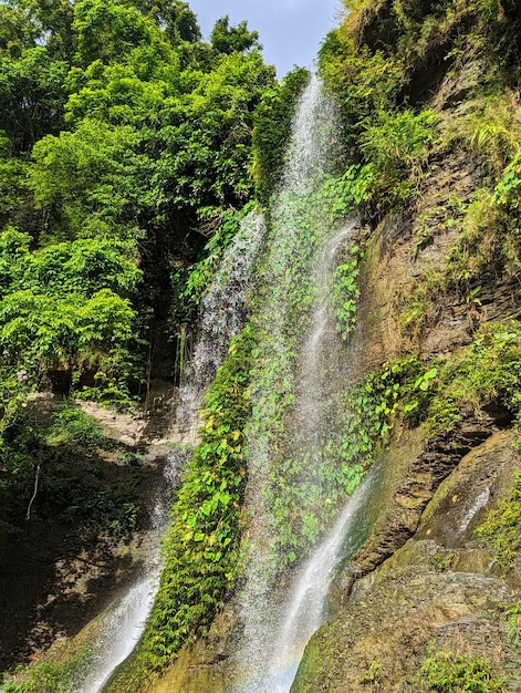 Foto gratuita de la montaña de la cascada