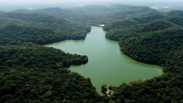 foto gratuita rio amazônio