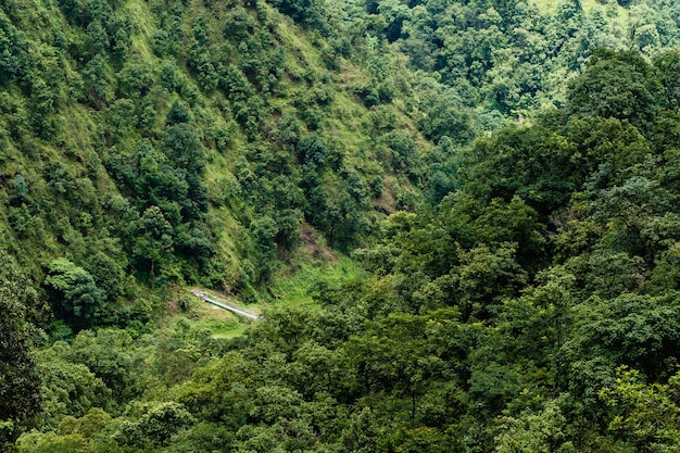 Foto de hermoso paisaje de montañas cubiertas de selva y puente colgante peatonal. Concepto de actividad de trekking y senderismo. Foto de stock.