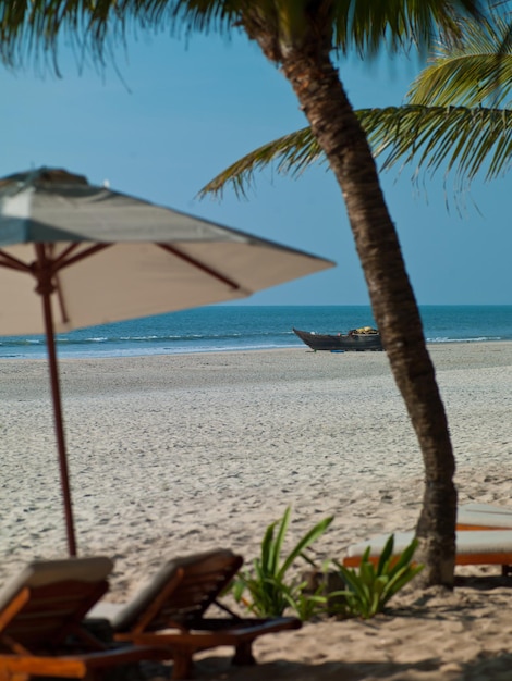 Foto hermoso paisaje de palmeras en el mar de India Goa