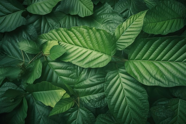 Foto de hoja cerrar textura atmósfera verde diferente tamaño