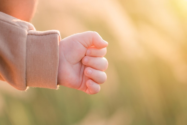 Foto foto horizontal da mão de um bebê nos raios do sol poente na natureza