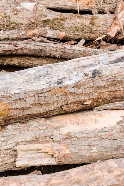 Foto Imagen de la hermosa textura de fondo de madera