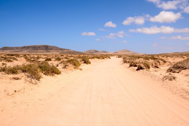 Foto Imagen de un hermoso paisaje desértico seco