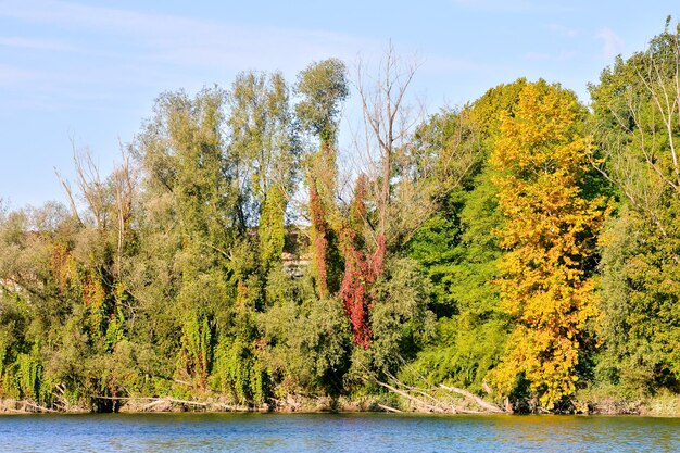 Foto Imagen del hermoso río salvaje Brenta en el norte de Italia