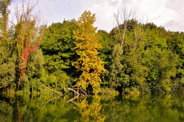 Foto Imagen del hermoso río salvaje Brenta en el norte de Italia