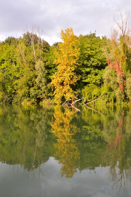 Foto Imagen del hermoso río salvaje Brenta en el norte de Italia