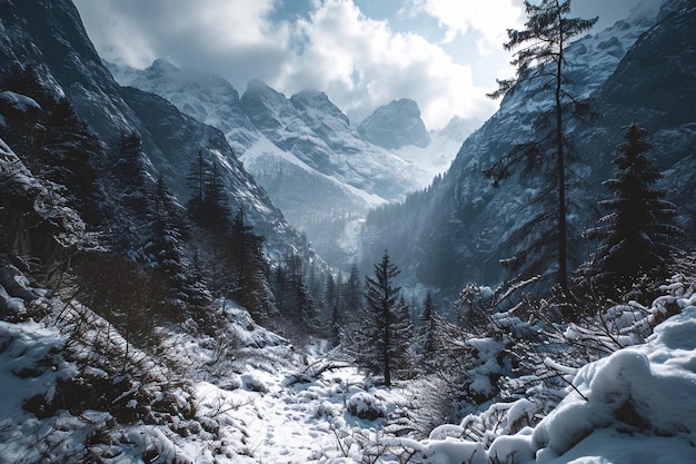Una foto impresionante de un paisaje montañoso cubierto de nieve en Austria