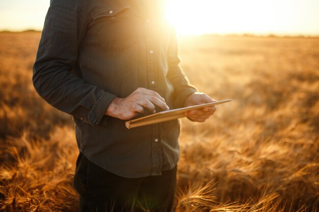 Foto incrível do agricultor verificando o progresso do campo de trigo segurando o tablet usando a Internet