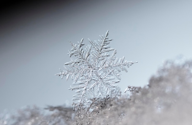 foto de invierno de copos de nieve en la nieve