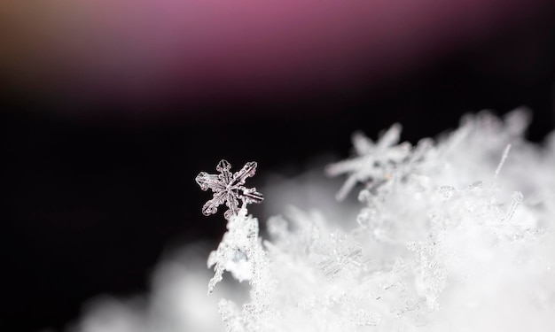 foto de invierno de copos de nieve en la nieve