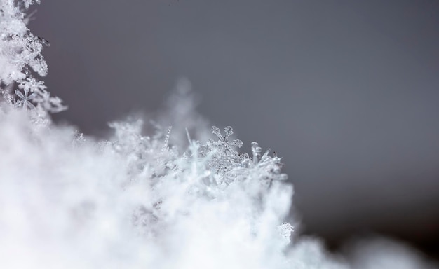 foto de invierno de copos de nieve en la nieve