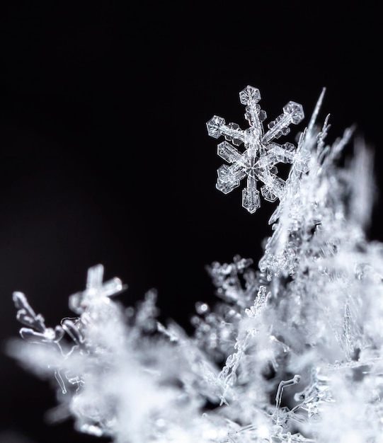 foto de invierno de copos de nieve en la nieve