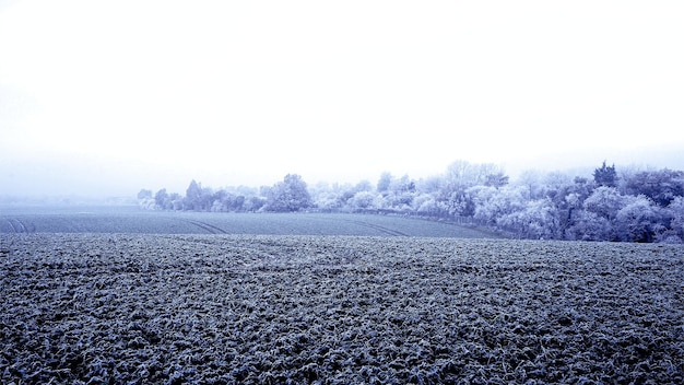 Foto de invierno en el Reino Unido