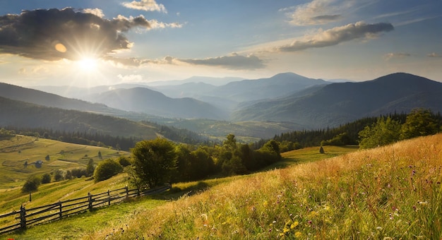 Foto Landschaft mit Kiefernwäldern in den Bergen