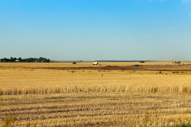 Foto Landwirtschaft Europa