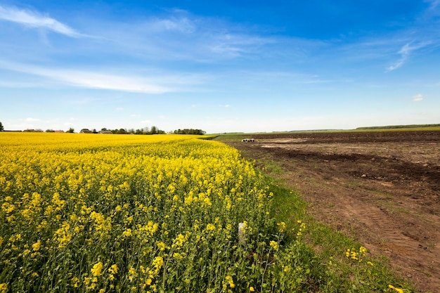 Foto Landwirtschaft Europa