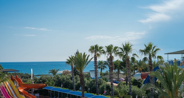 Foto de la localidad, con el mar y las palmeras, un lugar para relajarse en verano.