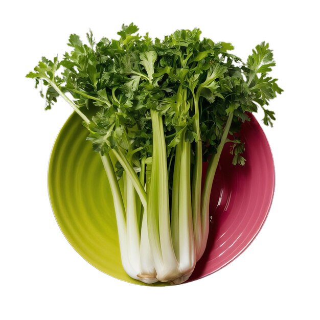 Foto foto macro de brócoli de verduras frescas verdes frescas en una mesa de piedra negra