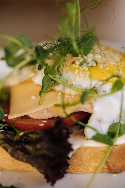 Foto macro de delicioso sanduíche de café da manhã com salada de queijo e ovo frito por cima