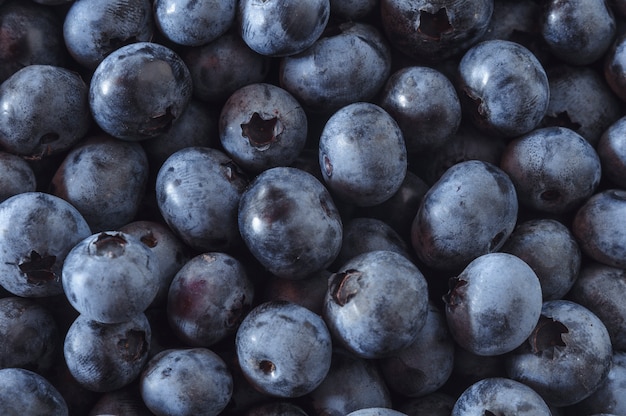 Foto macro de mirtilos. O conceito de alimentação saudável. Conceito de cartão postal