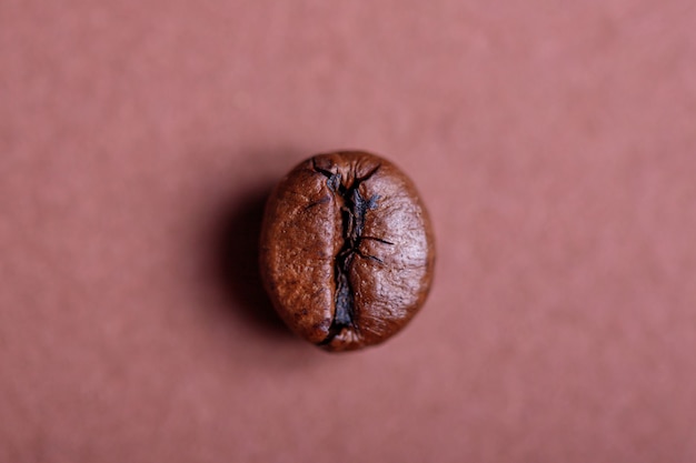 Foto macro de um grão de café