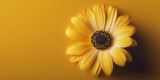 Foto macro de una flor de gerbera amarilla sobre fondo amarillo con espacio de copia IA generativa