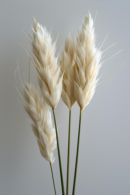 Foto macro de tres flores blancas en un jarrón sobre un fondo blanco