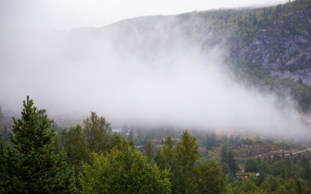 Foto mit schöner Natur im Sommer in Norwegen