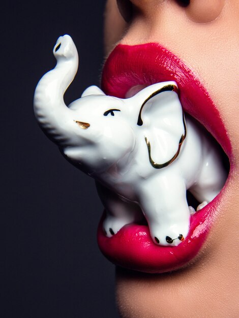 Foto de moda Hermosos labios rojos, lápiz labial y brillo de labios Elefante en la boca