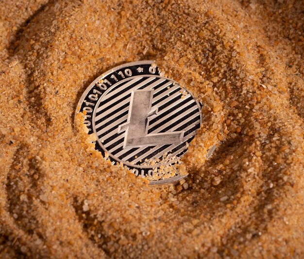Foto de una moneda de Litecoin Monedas de moneda Crypto