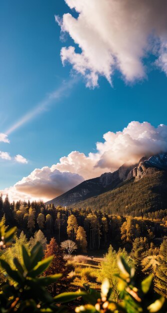 foto de una montaña y un cielo azul con nubes fotografía de bosque