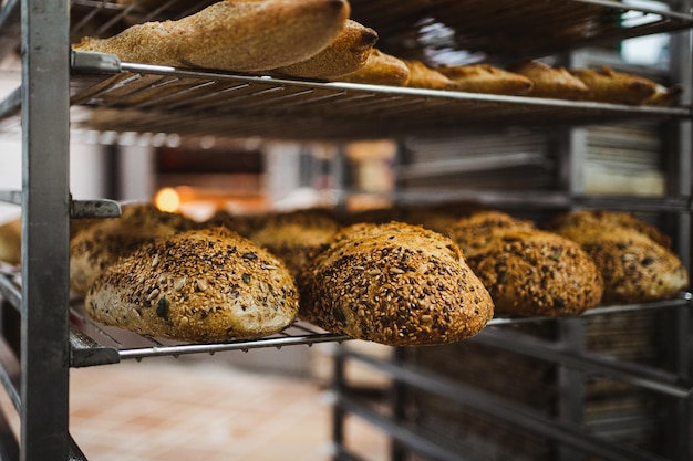Foto de muchos panes de semillas que se enfrían en una rejilla de metal en una panadería artesanal