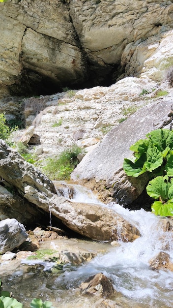 La foto muestra un manantial que fluye y una cueva al fondo.