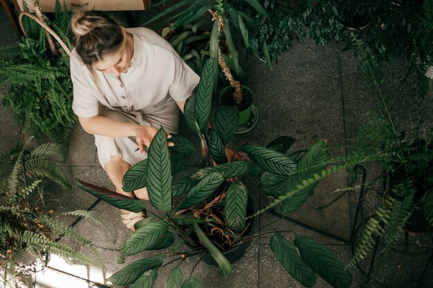 Foto de mujer joven irreconocible con moño en la cabeza, vista superior. Cuida las plantas, hojas de ficus en sus manos.