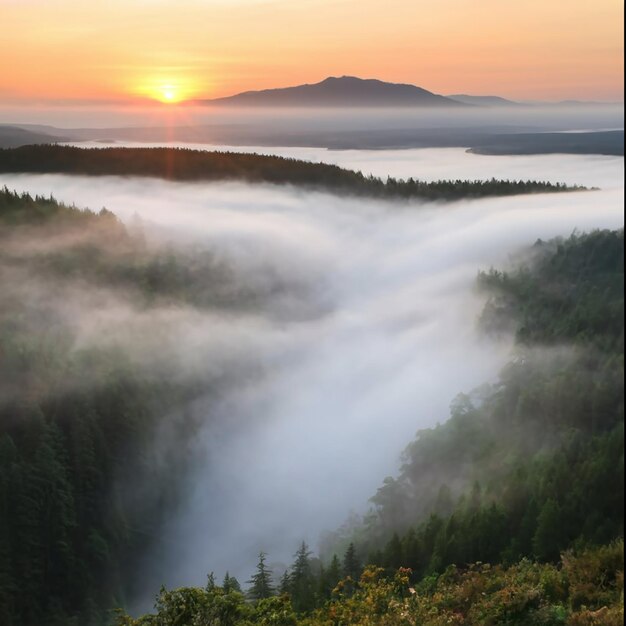 Foto de la niebla de la mañana