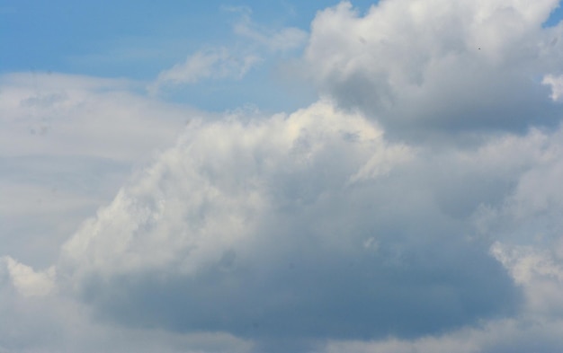 foto de nubes blancas y cielo azul