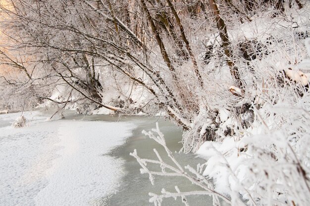 Foto o rio coberto de neve não congelou no invernoO rio flui no inverno Neve nos galhos das árvores Reflexo da neve no rio Enormes nevascas estão na margem do córrego