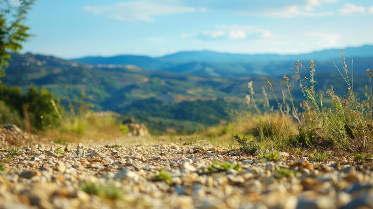 Una foto de paisaje con un área de enfoque claramente definida mientras que el resto está borroso
