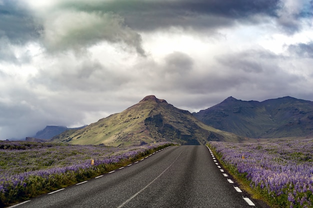 Foto de paisaje de una carretera en un campo de lavanda que conduce a colinas